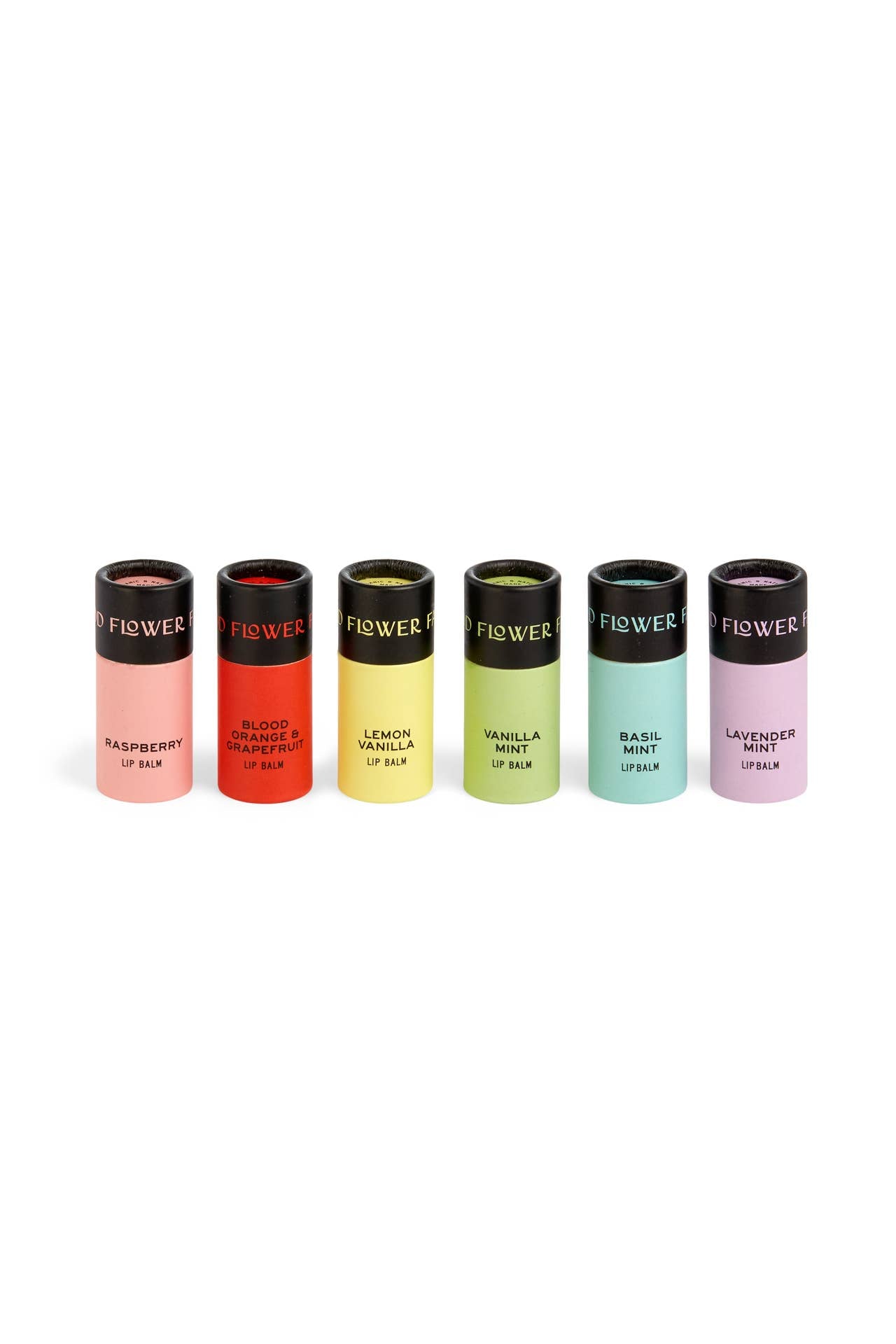 Vanilla Mint Lip Balm / 0.3 oz Biodegradable Tube