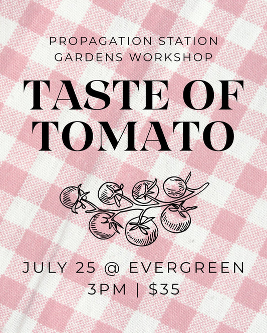 Taste of Tomato