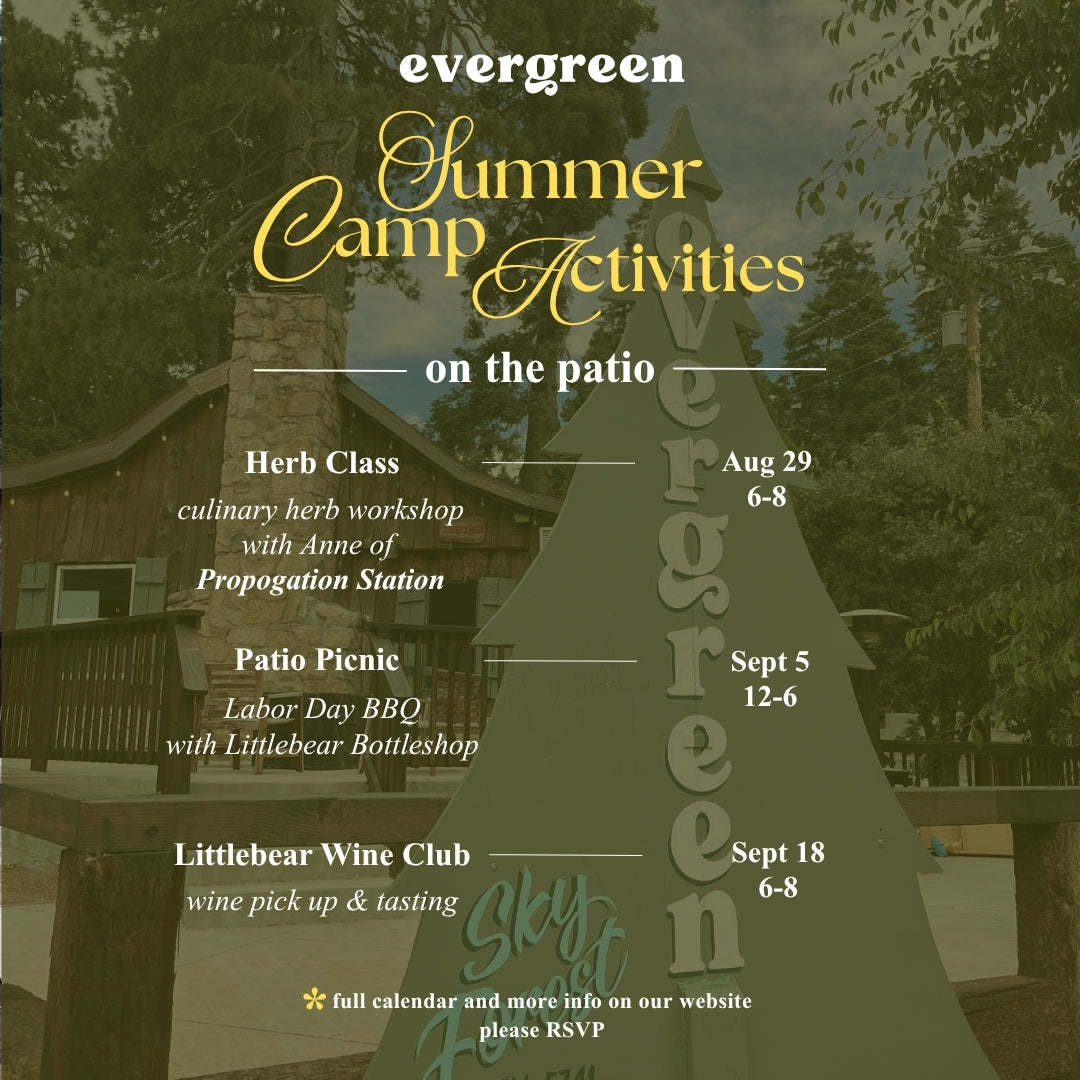 Summer Camp Activities