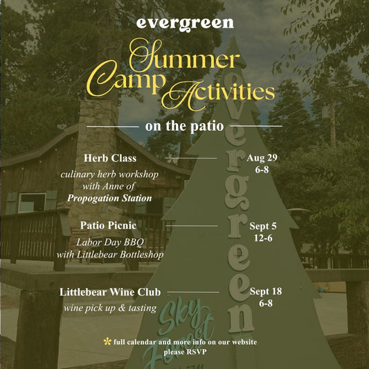 Summer Camp Activities