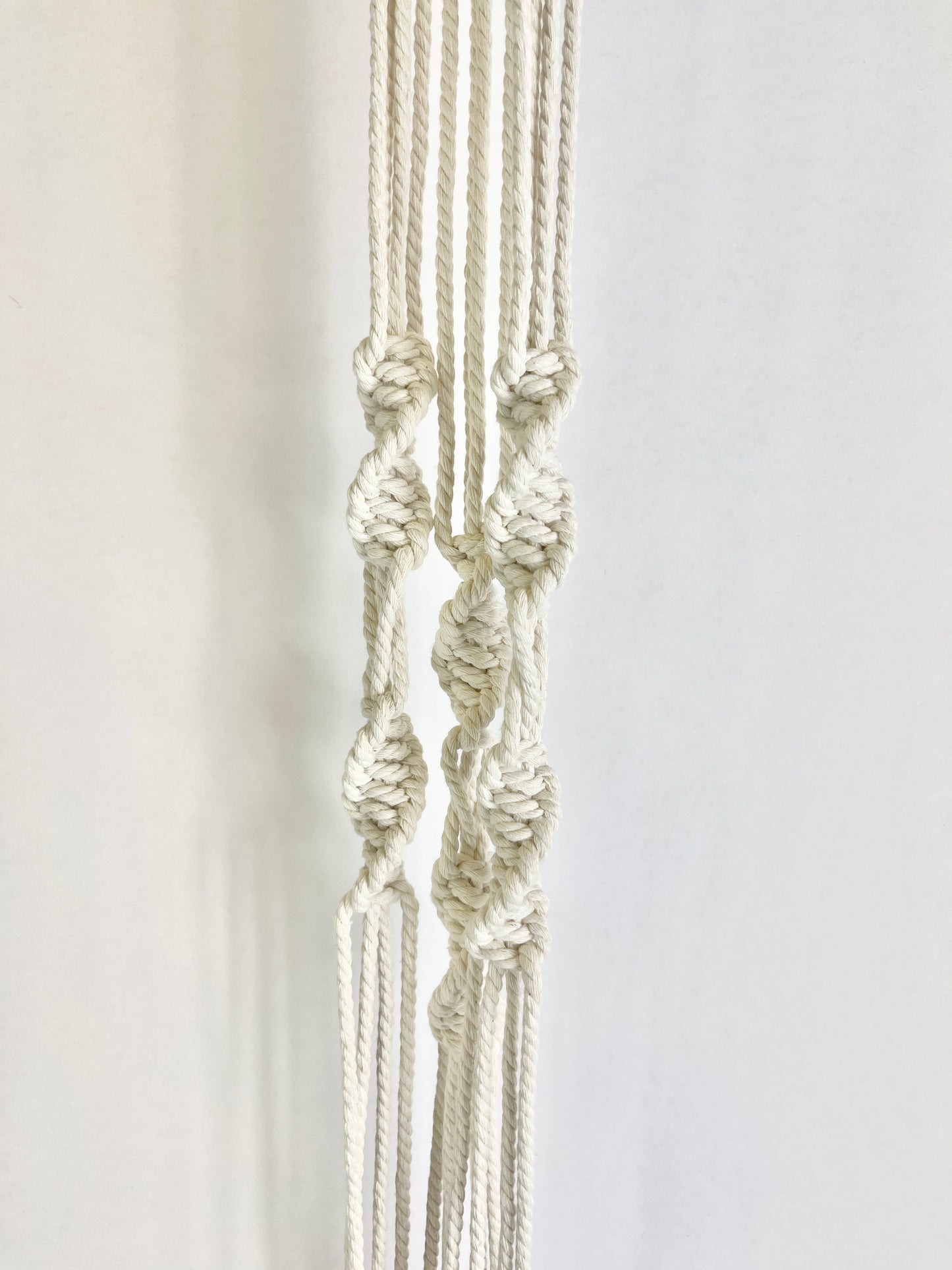 Plant Hanger